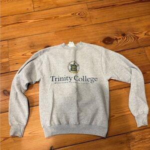 Champion Gray Crewneck Sweater